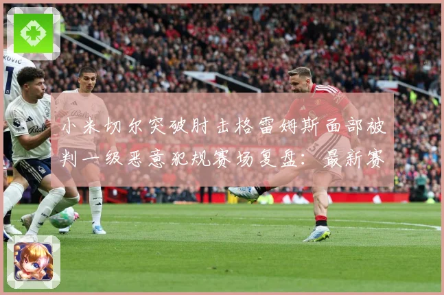 小米切尔突破肘击格雷姆斯面部被判一级恶意犯规赛场复盘：最新赛事动态与深度分析
